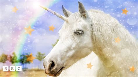 What is a unicorn online dating